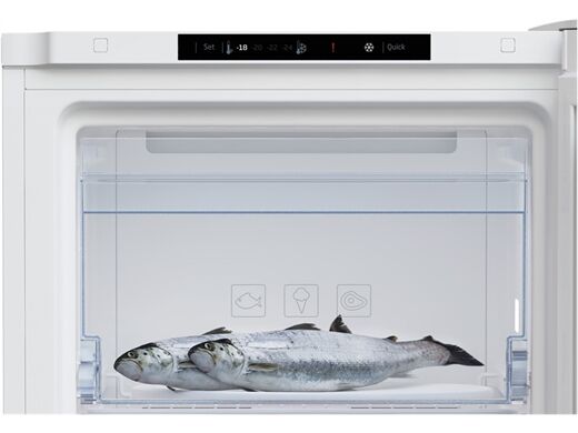 Beko RFNM200T40WN