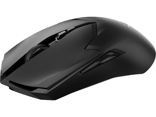 rapoo VT2PRO