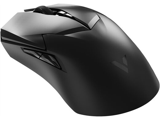 rapoo VT2PRO