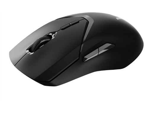 rapoo VT9PRO