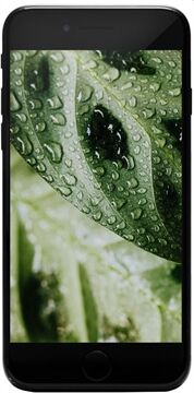 goeco iPhone SE 2020 (128GB) Refurbished (Schwarz)