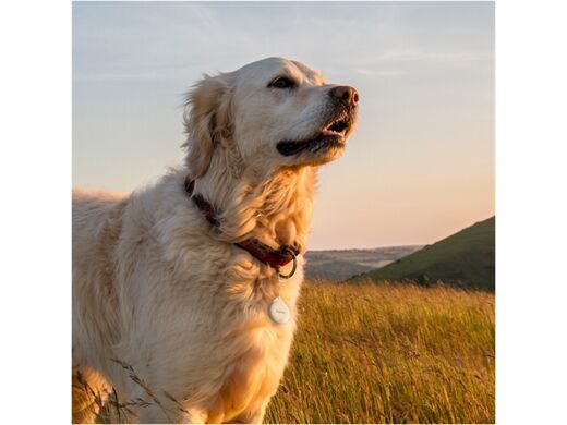 Hama Schlüsselfinder