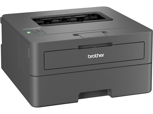 Brother HL-L2447DW