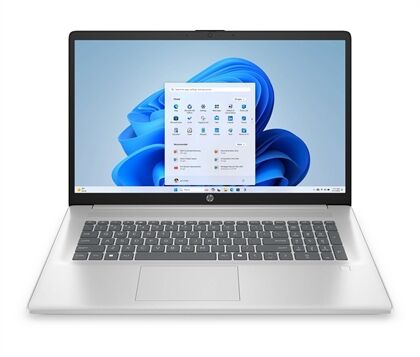 HP HP 17,3 Zoll Notebook 17-cp2653ng