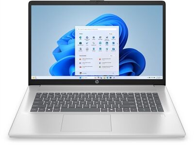 HP 17-cp2561ng (C94HREA) (natursilber) 17.3