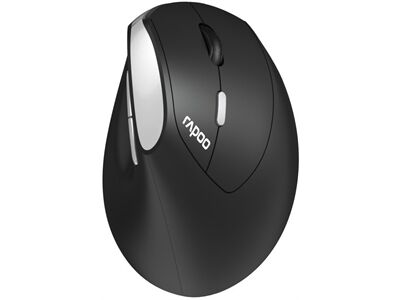 rapoo EV250 (Schwarz)