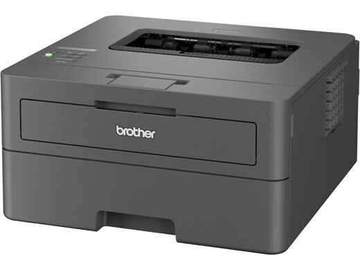 Brother HL-L2447DW